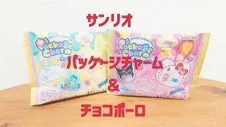 サンリオキャラクターズ　パッケージチャーム＆チョコボーロをゲット♪