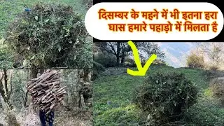 अब और बड़ गया काम का प्रेशर आख़िर कब ख़त्म कब होगा काम 😌