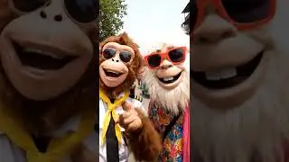 #ai #alvideo #monkey