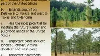 Forest Regions of North America