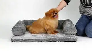 Petacc Dog Bed Detachable Pet Bed Soft Pet Sofa Comfortable Dog Lounge for Dogs & Cats