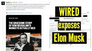 WIRED investigation exposes Elon Musk's claim about the death of monkeys used by Neuralink