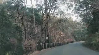 G&S Travels - Hartz Mountains National Park