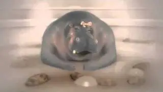 Cocopops Hippos