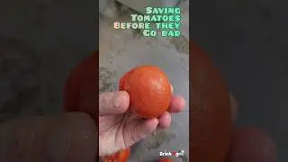 Saving Tomatoes Before they go bad #savingfood #tomates #tomato