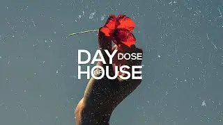 Cubfonic - Gone Now