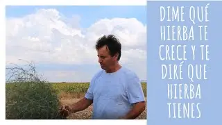 Dime que hierba te crece y te diré que suelo tienes | AGRICULTURA ECOLÓGICA