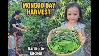 Friday Monggo Day 🌿 | Garden to Kitchen | Pinoy Harvest from Our Backyard in Australia