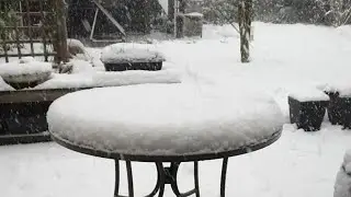 Snowy Wednesday