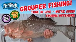 Offshore Fishing on Reel Deal II - Jan 2nd, 2026