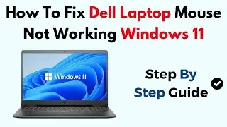 How To Fix Dell Laptop Mouse Not Working Windows 11