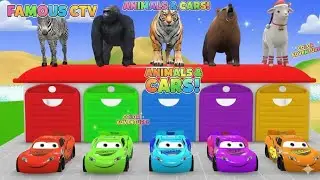 CAR VS ANIMAL'S Cartoon Video For Chiledren🔥✅️👻👍 #cartoonvideo #cartoon #car #animals 