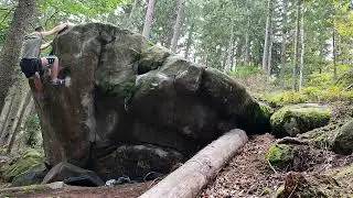 Ancymon 8A/+ Szczytna