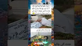 Motivational quotes| Heart touching words #quotes#urduislamicquotes#motivation#viral#urdu#video