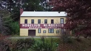 Gardens in the Dandenongs