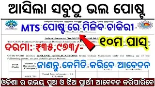 Odisha New Govt Job Recruitment 2025-26 | MTS Post New Job Vacancy | Odisha Latest Govt Job #odisha 