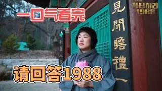 一口气看完9.7分治愈神剧《请回答1988》全集解说