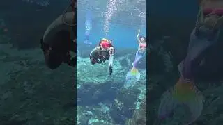 Insta360 Challenge: Exploring the #insta360 with @sweetwaterscuba  #scuba