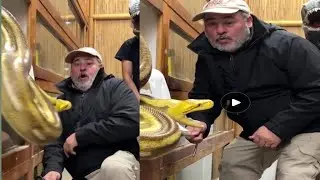 Definitely not your normal video 🤣 reels #animals #reptiles #snake #giant #python #eggs