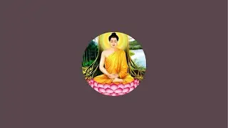 Cuộc sống Mỹ channel 64  is live!