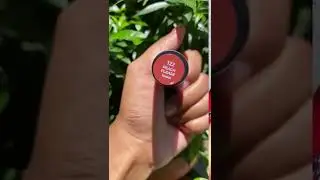 Swatching Matterrific lippies || Plum Goodness | New launch