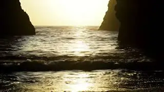Driftwood Shoreline | Unique Ocean ASMR from Canada&rsquo;s Rugged West Coast
