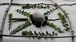 Transient Art - how you can create transient art using natural materials like leaves,twigs & stones