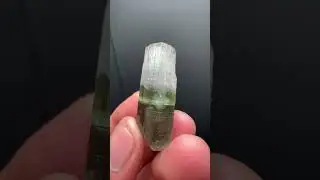 Apatite Crystal from Afghanistan | Fine Art Minerals | Apatite |