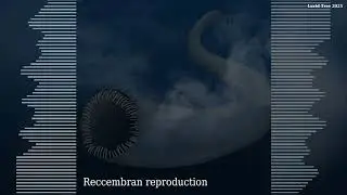 Reccembran reproduction - Reccembra Music