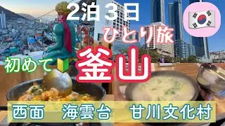 🔰釜山２日目朝から甘川文化村へ星の王子さまを独り占め！念願のナッコプセを食べる、海雲台の青い海、カモメに驚く