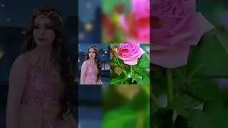 BALVEERRETURN PARI AND FLOWERS 💐  SEM COLOR ||#balveer #balveerreturns #shortvideo #viral