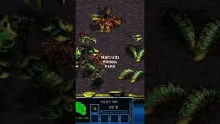 스1 토스 part6#gaming #games #gamer #gameplay #스타크래프트 #게임 #protoss #프로토스 #헌터 #hunter