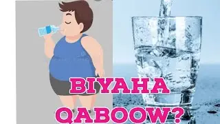 BIYAHA QABOOW MA LAGU CAYILAA?