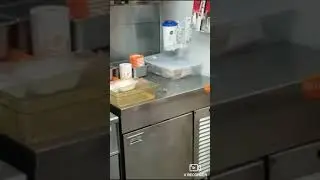 Mouse jumps in frying oil in Whataburger in Texas