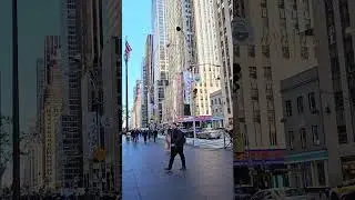 Morning View🇺🇸🗽#newyork #travel #reel #reelschallenge #usaviral #usareels #virel #foryou #foryoupage