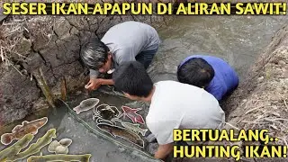 SESER, MANCING DAN BERTUALANG UNTUK TAMBAHIN PENGHUNI KOLAM