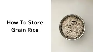 How To Store Grain Rice 🌾 | Food Storage | YUCa's Japanese Cooking #Shorts #YouTubeShorts
