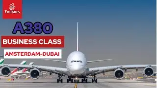 Emirates A380 Business Class Amsterdam to Dubai #tripreport #emiratesbusinessclass #businessclass 