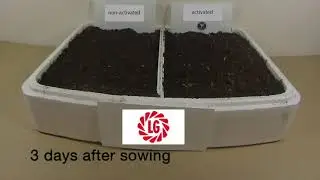 Limagrain Seeds | How to jump-start your seed germination | Time-lapse video