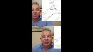 Unlocking the Secrets of DHEA in Testosterone Therapy