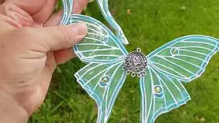 Luna glow butterfly (moth)