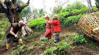 Life With Nature || Video - 3 || Planting grass seeds ||
