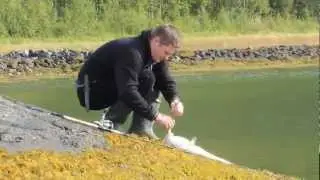 norwegia cz.2   Sj&oslash;bakken fiske-camping 640x