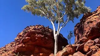 Family Journey Through the Red Centre, Australia 