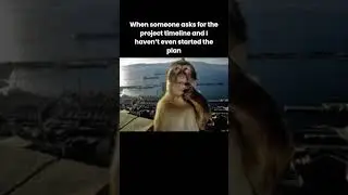 POV: Asked for a Project Timeline Before Planning Even Started