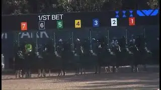 R6 GULFSTREAM PARK USA 09 JAN 2026