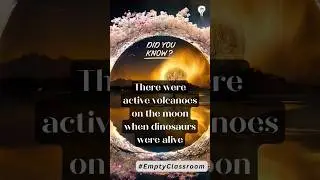🌕 Lunar Volcanoes! 🌋 #emptyclassroom #MoonFacts #facts