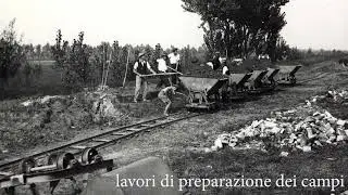 Le Mondine: breve raccolta fotografica