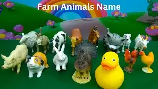 farm animals name for kids | farm animals name for toddlers | farm animals name | animals toys