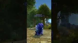 i have gotten all the rare druid forms that I wanted in Wow 🤩 (Dragonflight Season 4) #shorts
